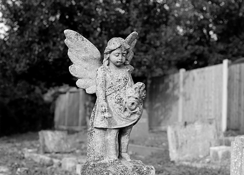 Equality: In Memoriam