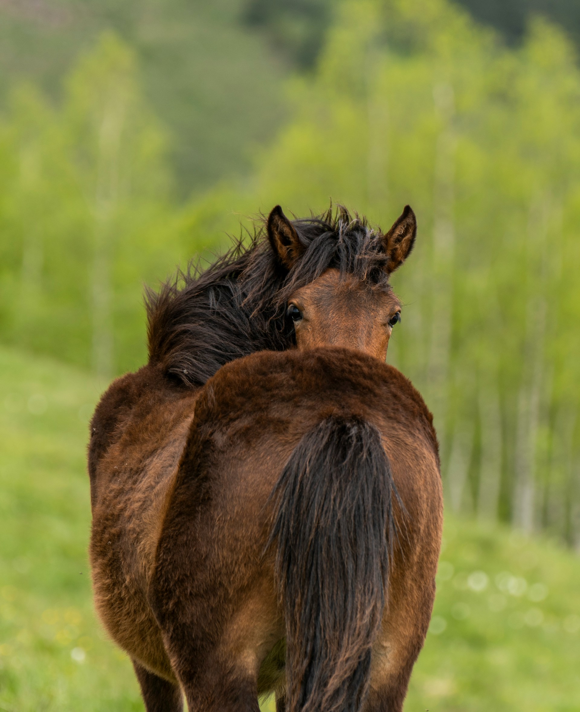 I’m Afraid There’s Something Wrong with Mr. Prescott