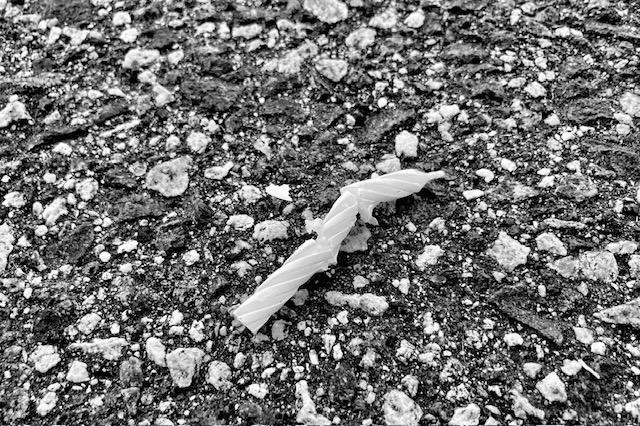 What Did You Wish For?