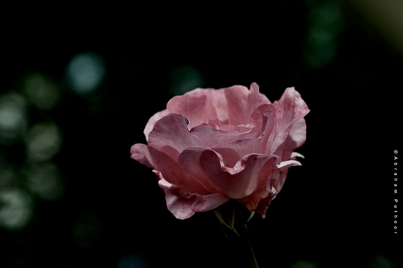 I’m Not Happy, the Therapy Client Says