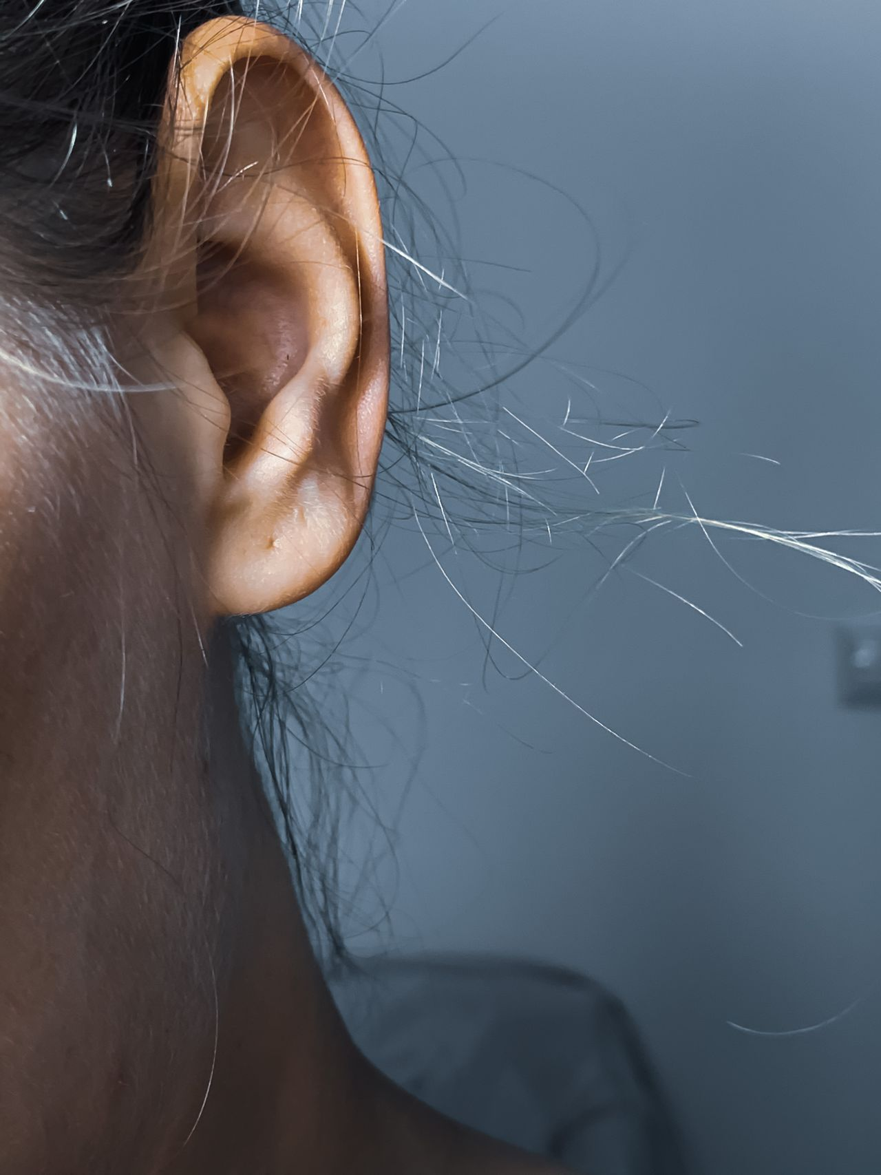 loose hairs by human ear
