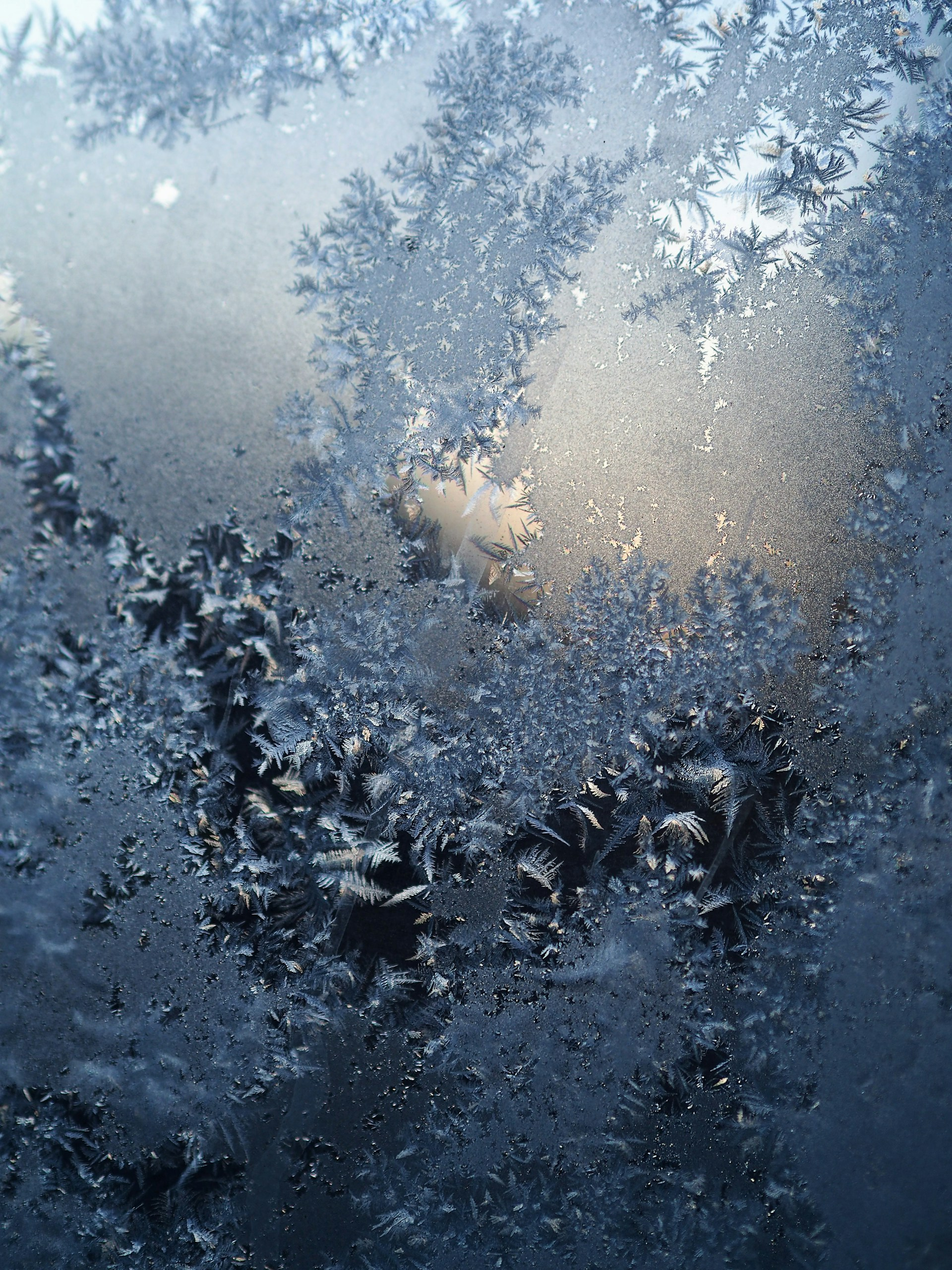 Ice crystals with tree reflected