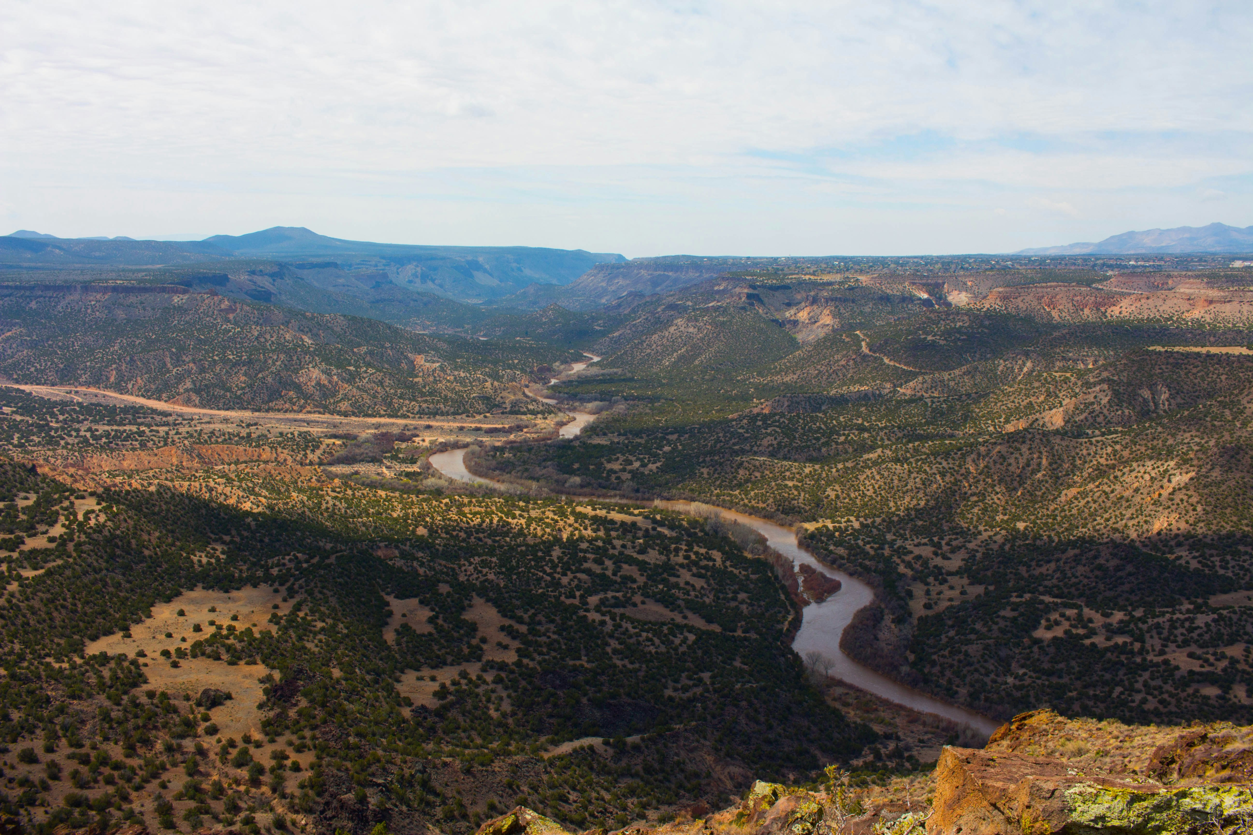 Two Poems by Marcy Rae Henry